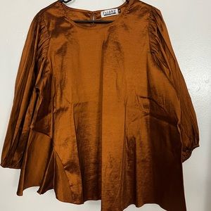 Never worn 1X shimmery bronz top